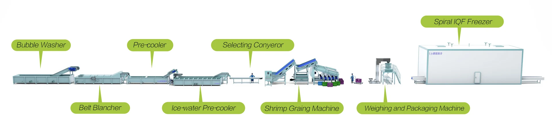 Cooked Prawn Processing Line Layout: From Washing to IQF Freezing