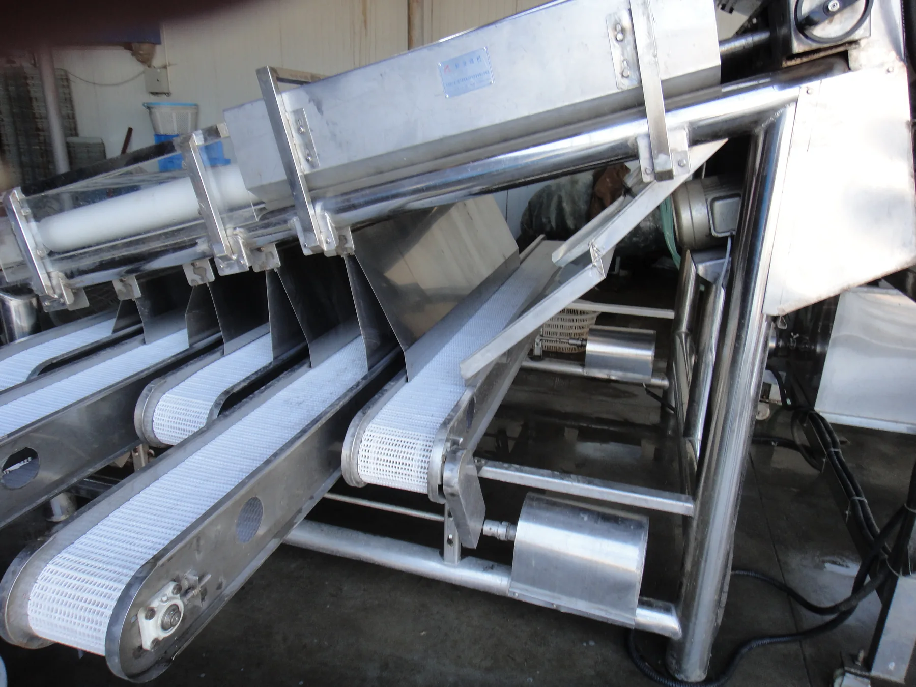Shrimp grading machine site view 1