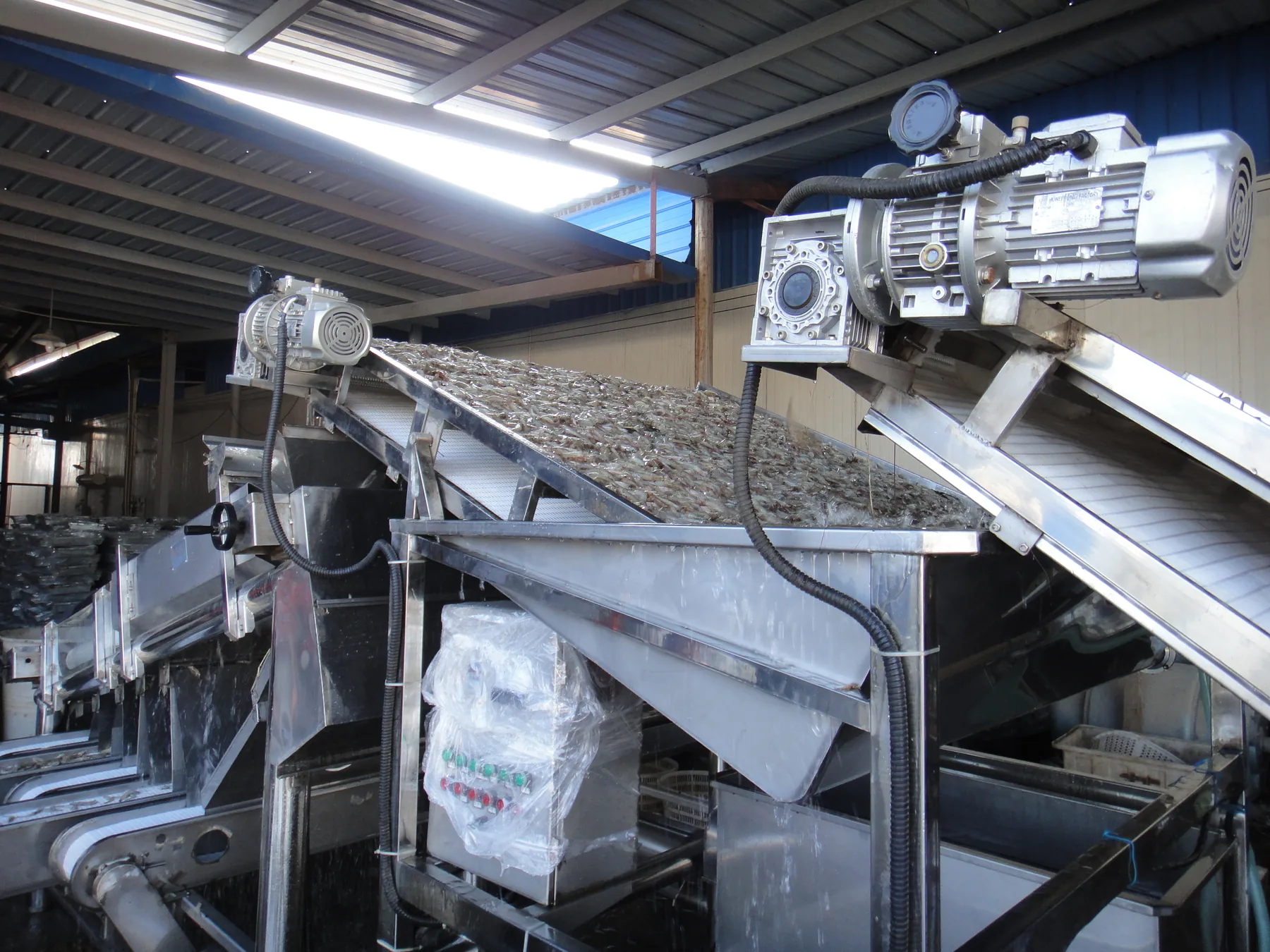 Shrimp grading machine site view 5