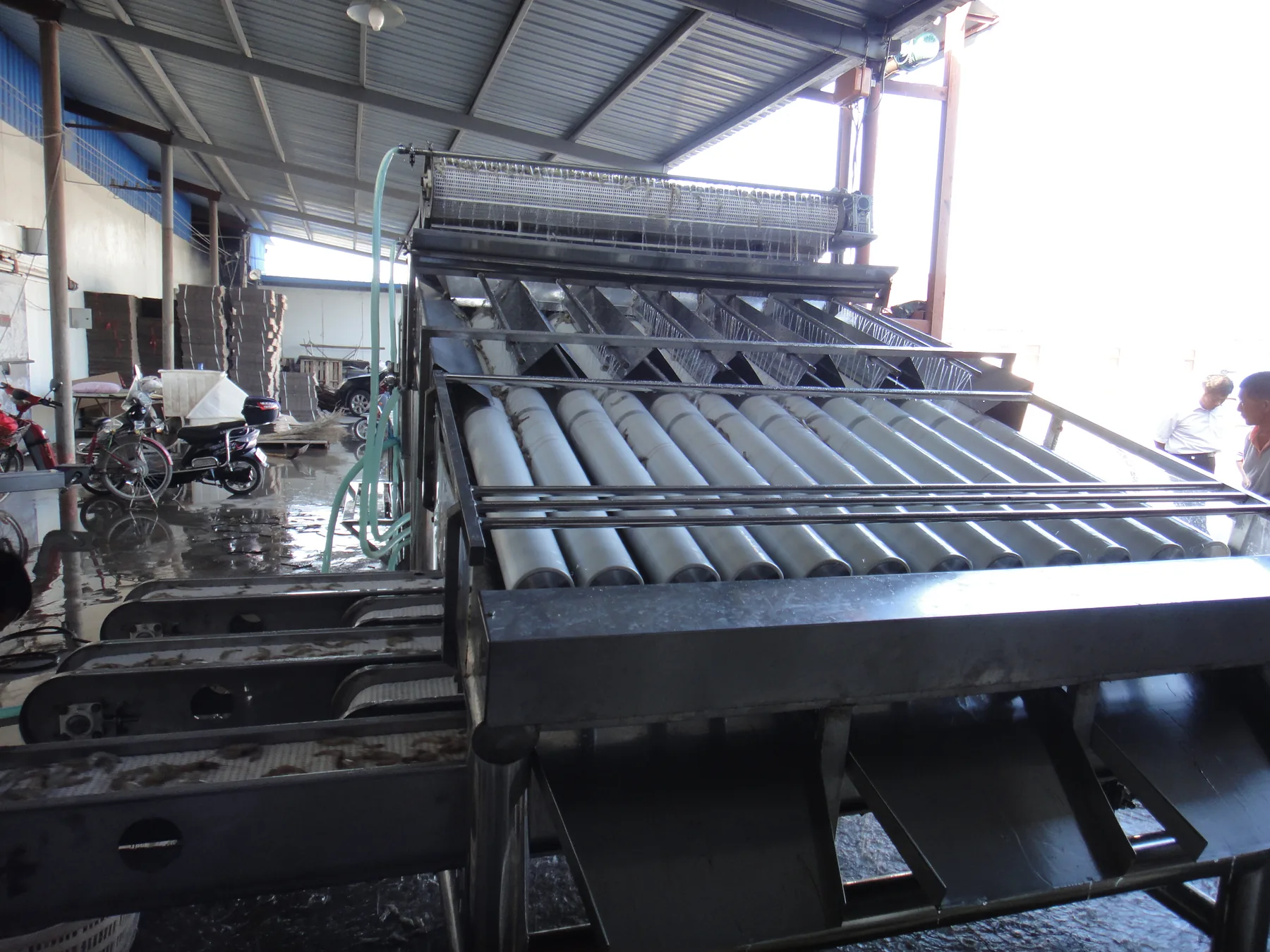 Shrimp grading machine site view 6