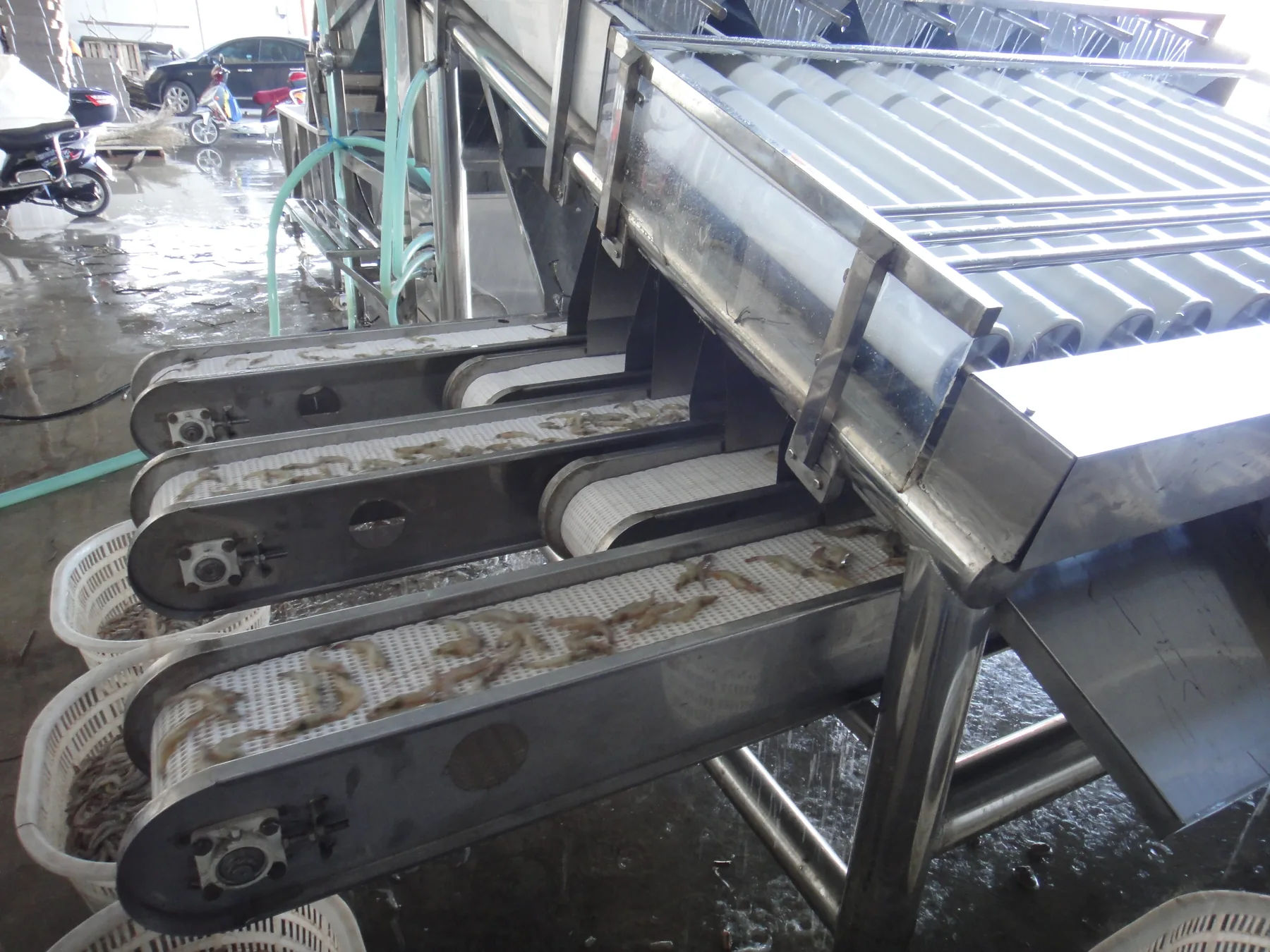 Shrimp grading machine site view 7