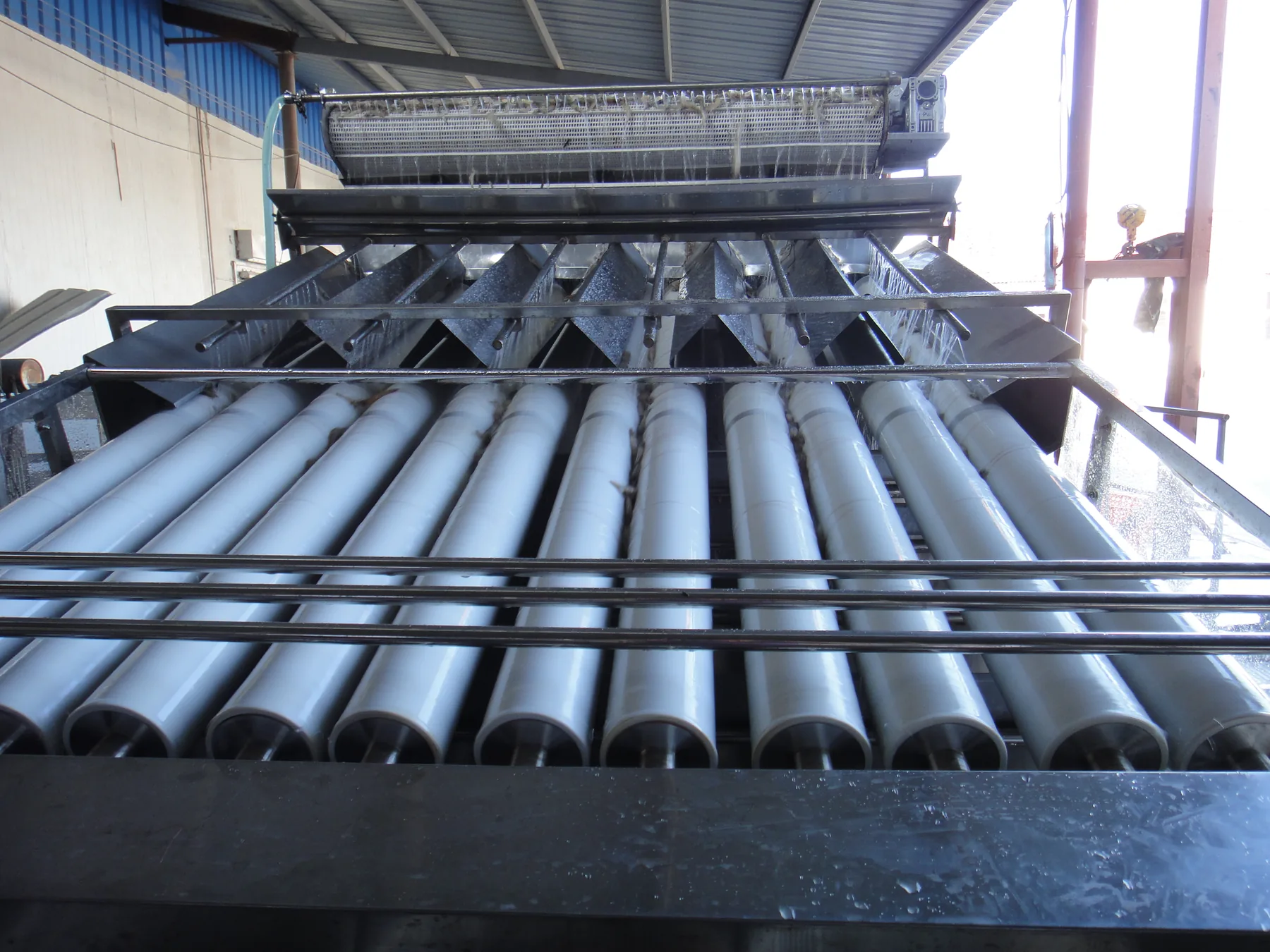 Shrimp grading machine site view 8