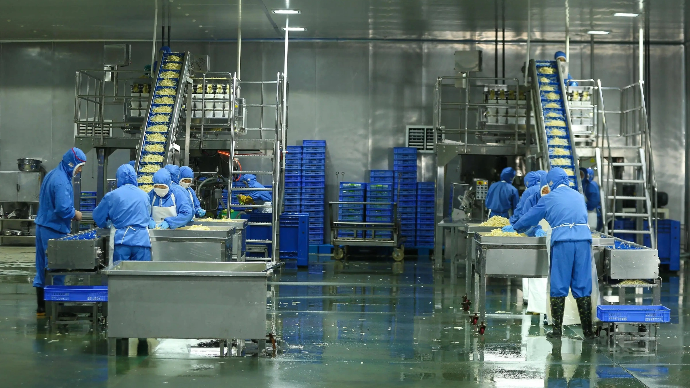 Complete washing, cooking, cooling and conveying line
