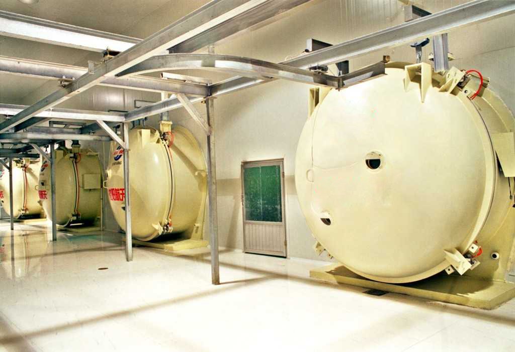 FD Series Vacuum Freeze Dryer Fruit Lyophilizer Lyophilizer view 3