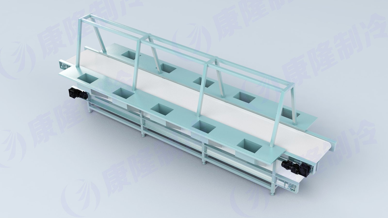 Picking Conveyor view 2