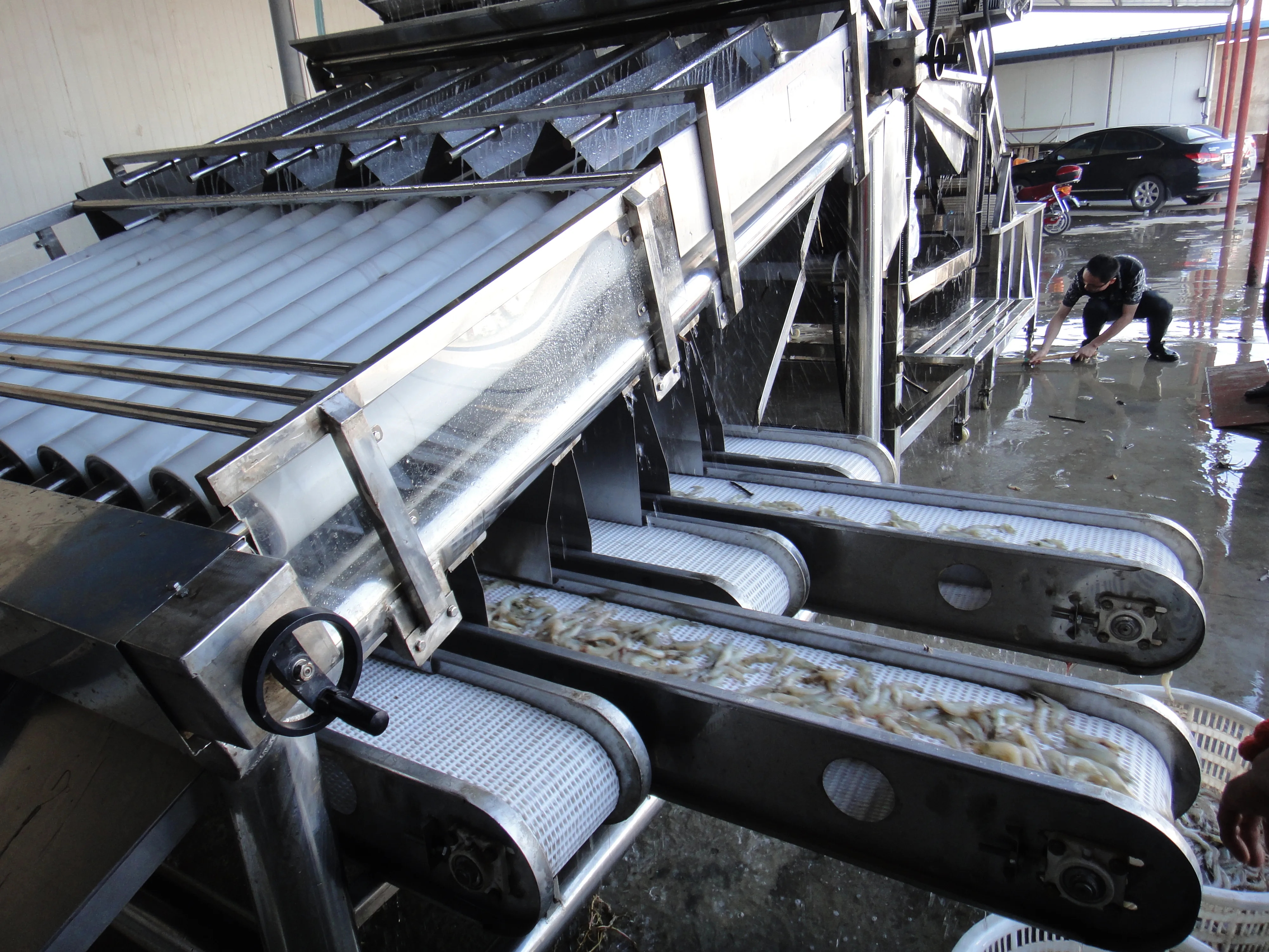 Shrimp Grading Machine detail