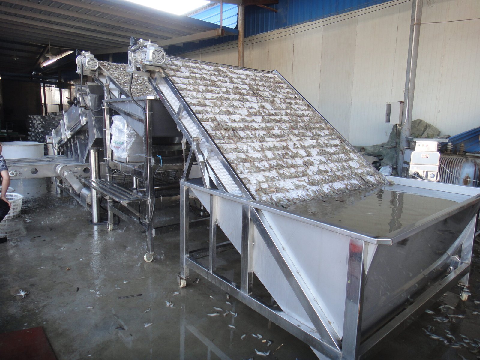 Shrimp Grading Machine,Sorting Machine view 2