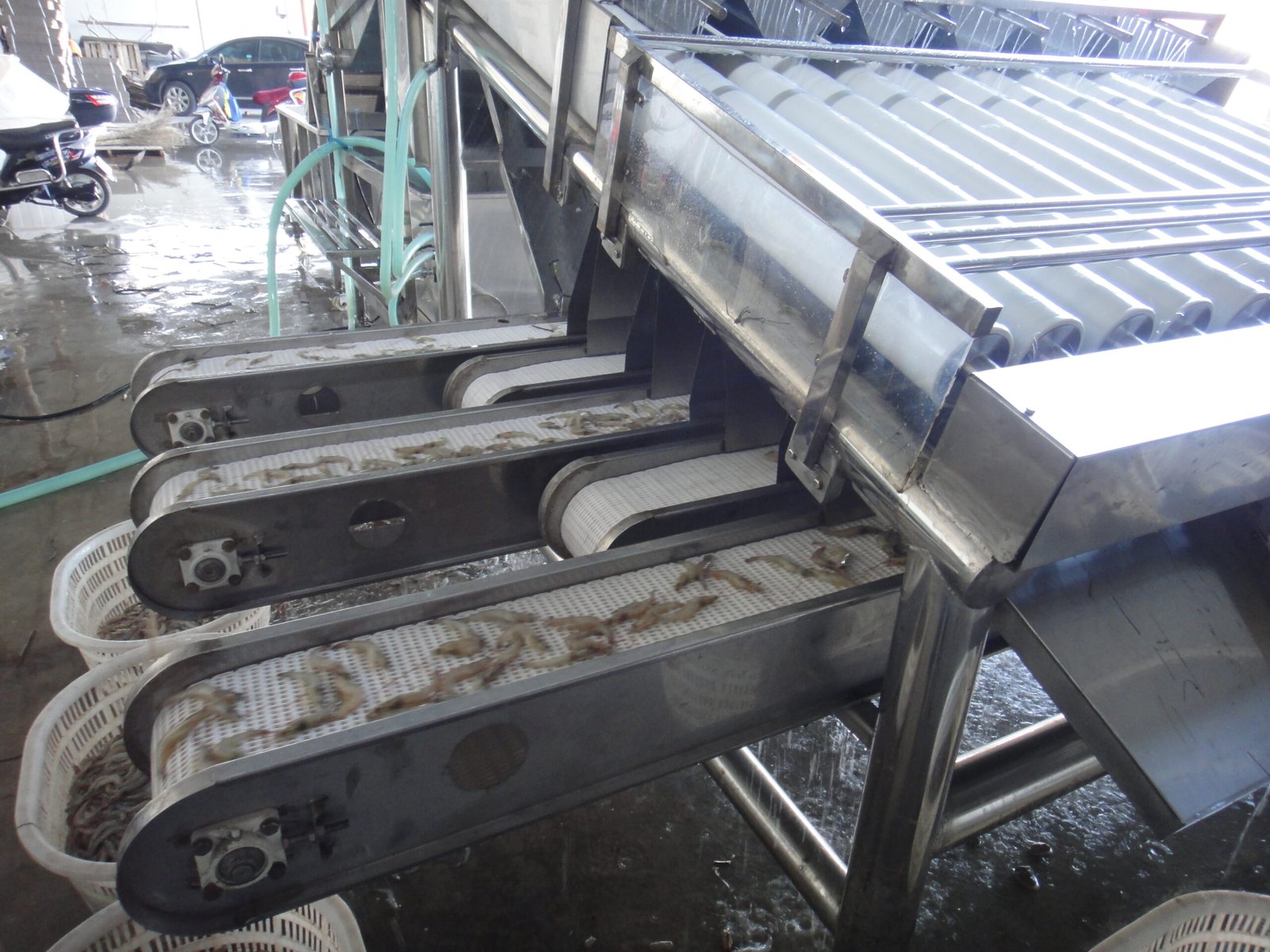 Shrimp Grading Machine,Sorting Machine view 4