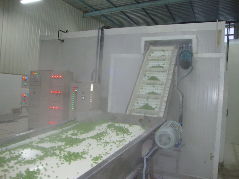SLD Series Fluidized Bed IQF Freezer view 2