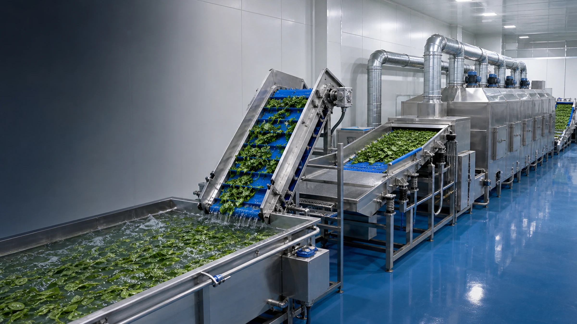 Leafy Vegetables Drying Production Line production line