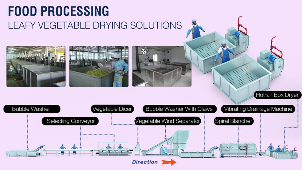 Leafy Vegetables Drying Production Line