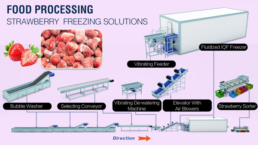 Strawberry Washing And Freezing Production Line