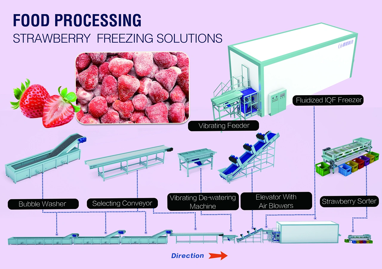 fluidized-iqf-freezer-pic8