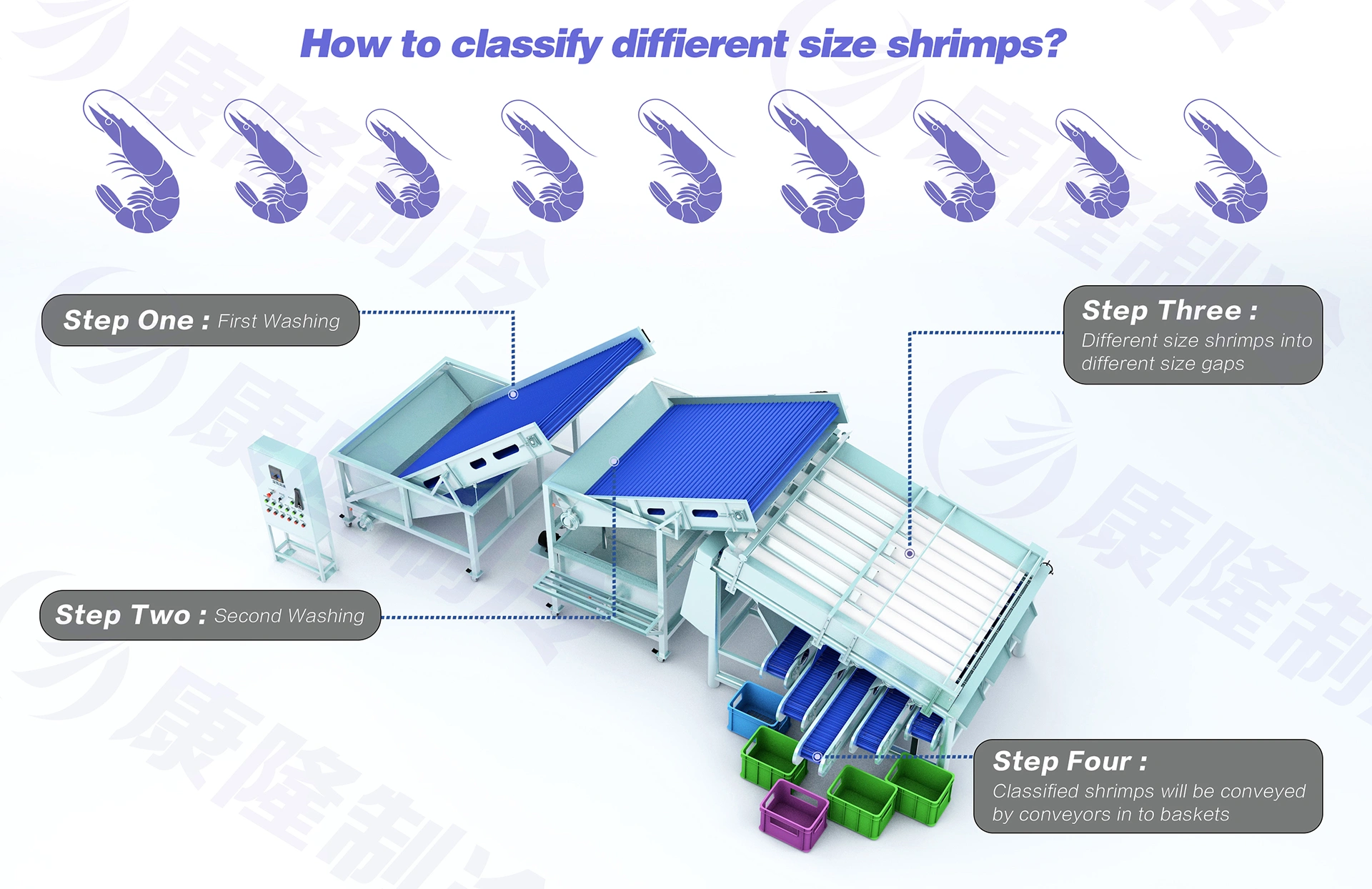 shrimp-grading-machine-pic1